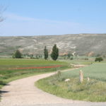 Valley of Castrojerez, Camino de Santiago