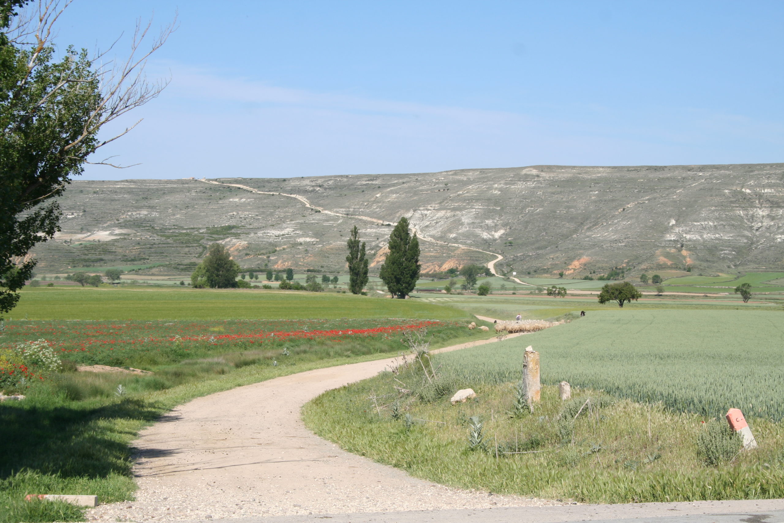 Valley of Castrojerez, Camino de Santiago