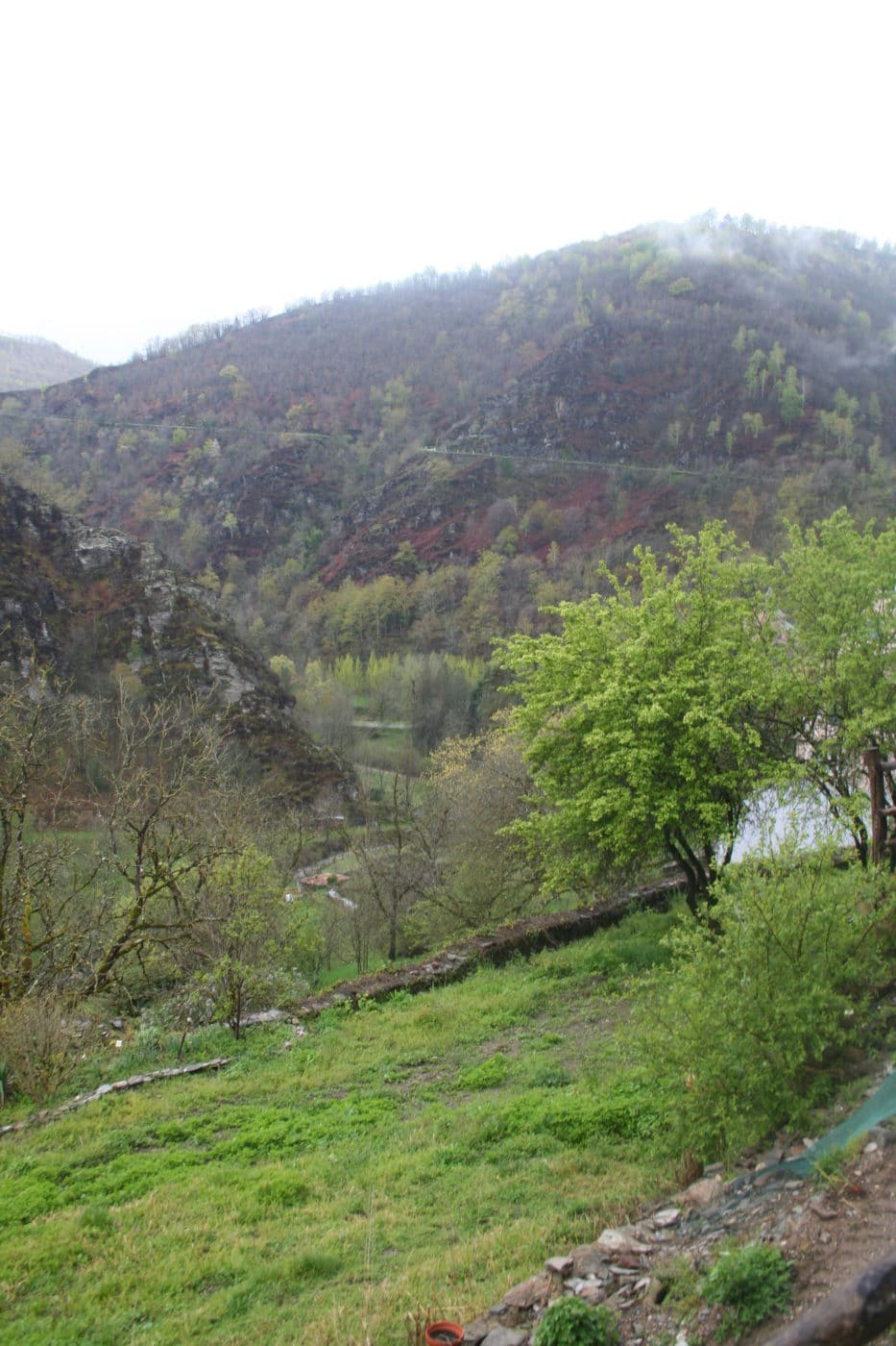 The Transfiguration of Jesus Christ on the mountain gives us a glimpse of the Glory of God that is manifested in the Resurrection. Sustained by this hope, we descend into the world of penance and continue to prepare for the Passover.