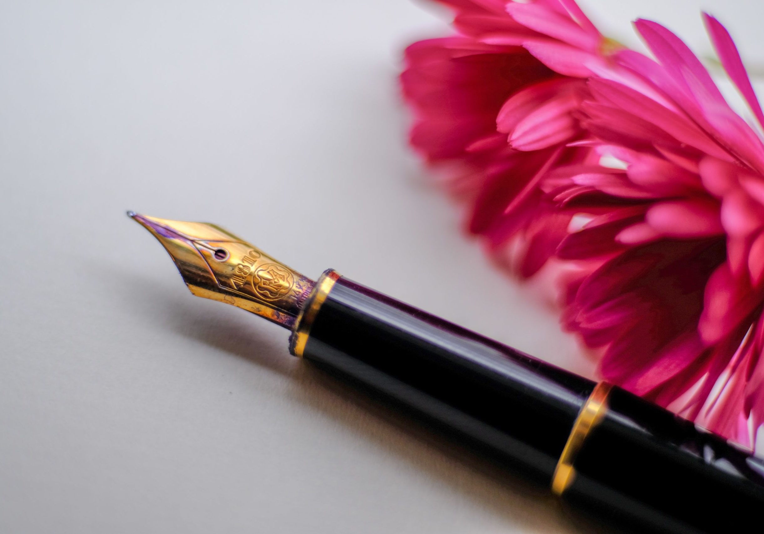 John Jennings I KGNSAqD 8 Unsplash Pen and flower
